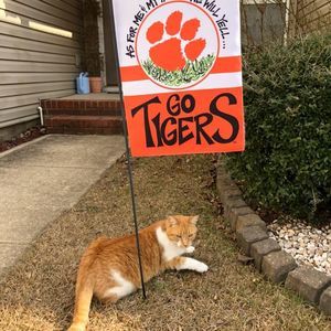 Meet your Posher, Tricia